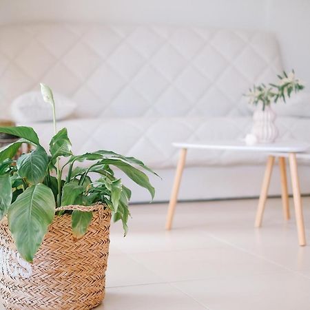 Oasis Garden House Apartment Nea Iraklitsa Luaran gambar